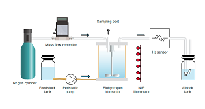 Schematic of bioreactor system.