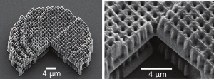 Scanning electron micrograph of a zoom metaens.