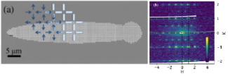 prl-110619-image_0.png
