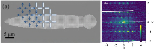 prl-110619-image_0.png