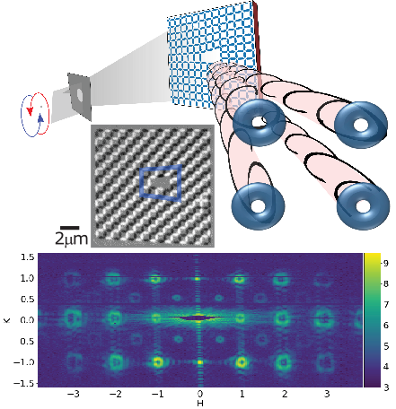 x-ray-oam.png
