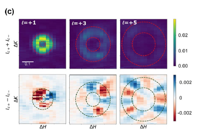 Magnetic scattering from the sample gives rise to odd OAM quantum numbers at the magnetic Bragg peaks
