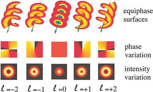 Structure of light with OAM 